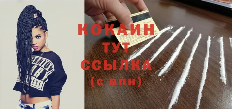 Кокаин FishScale  Шенкурск 